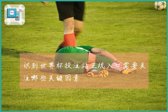 识别世界杯投注站正规入口需要关注哪些关键因素