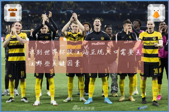 识别世界杯投注站正规入口需要关注哪些关键因素