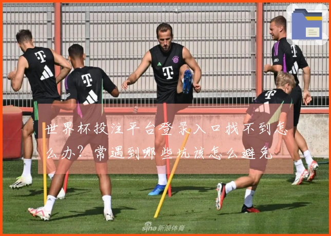 世界杯投注平台登录入口找不到怎么办？常遇到哪些坑该怎么避免