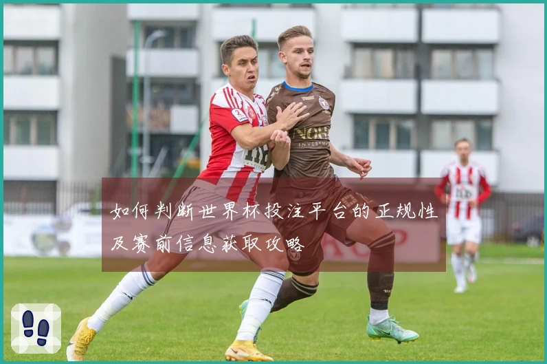 如何判断世界杯投注平台的正规性及赛前信息获取攻略