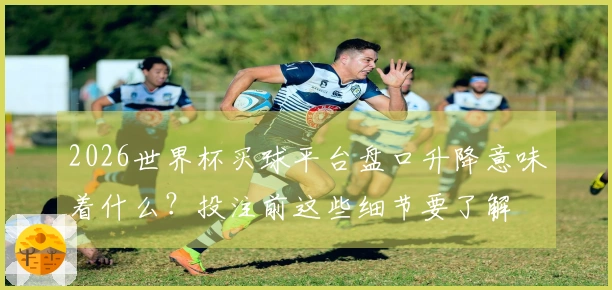 雷速体育文章缩略图